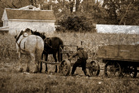 6x4-06836-Amish-17