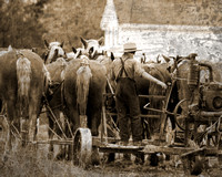 06799-Amish-10